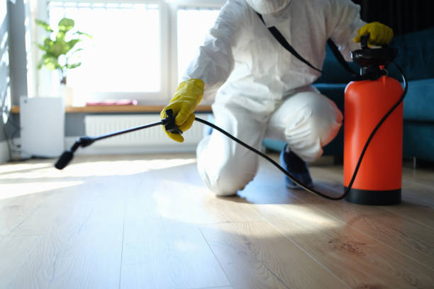Reliable Odor Removal contractor in Oakwood, GA by Trauma Clean Pros